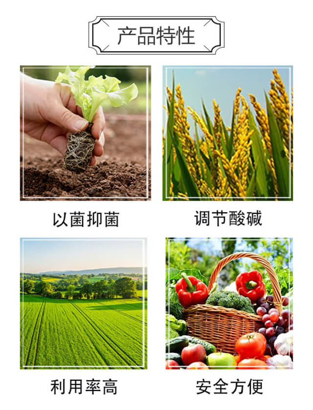 線智6號(hào)-湯姆生_03