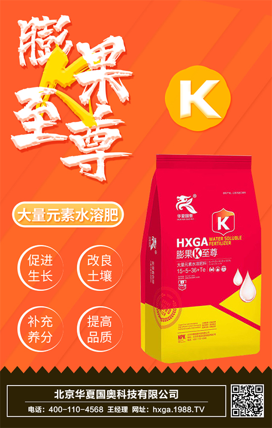 �����A�ć��W�Ƽ����޹�˾1