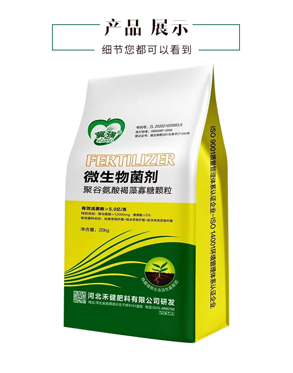 聚谷氨酸褐藻寡糖顆粒-禾健_04