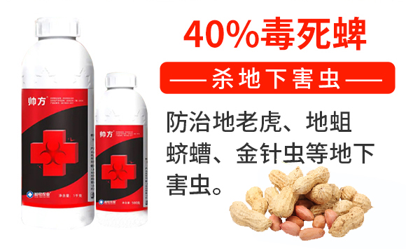 帥方-加號(hào)農(nóng)業(yè)_02