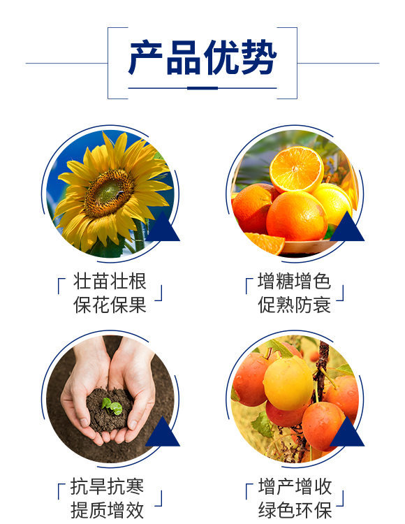 ����������Ƽ��l(f��)չ���޹�˾_03