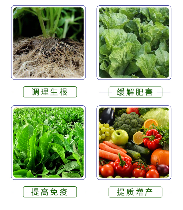 本源予農(nóng)-多喜樂_05