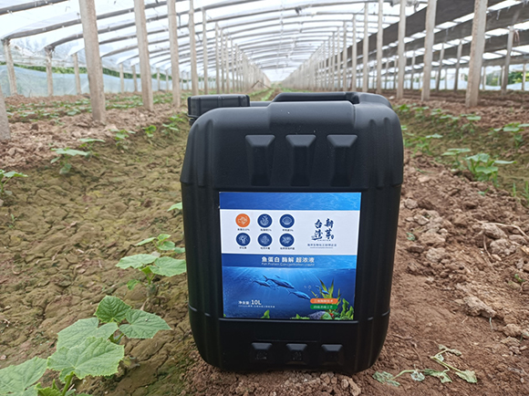 魚(yú)蛋白酶解超濃液-臺(tái)灣新芽2