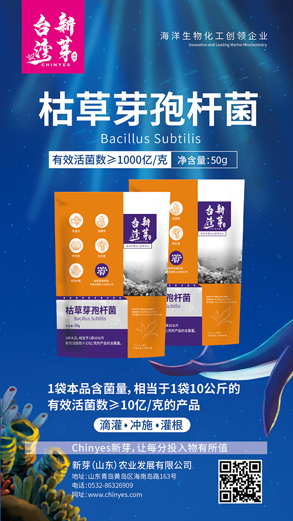 千億枯草芽孢桿菌-臺(tái)灣新芽3