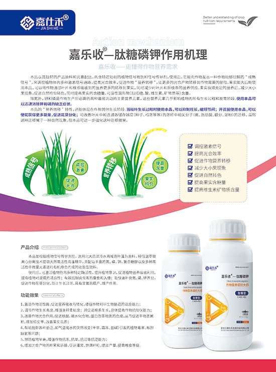 嘉仕禾單頁(yè)(肽糖磷鉀)-210x285mm-背面