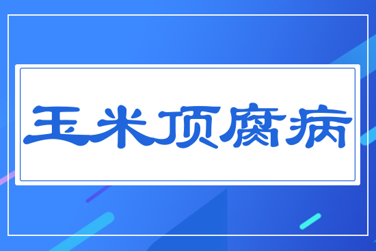 ����픸���