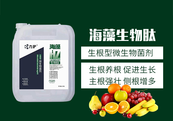 ɽ�|��������Ƽ����޹�˾_02