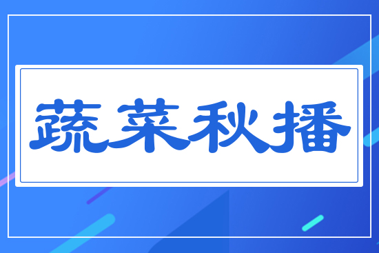 蔬菜秋播