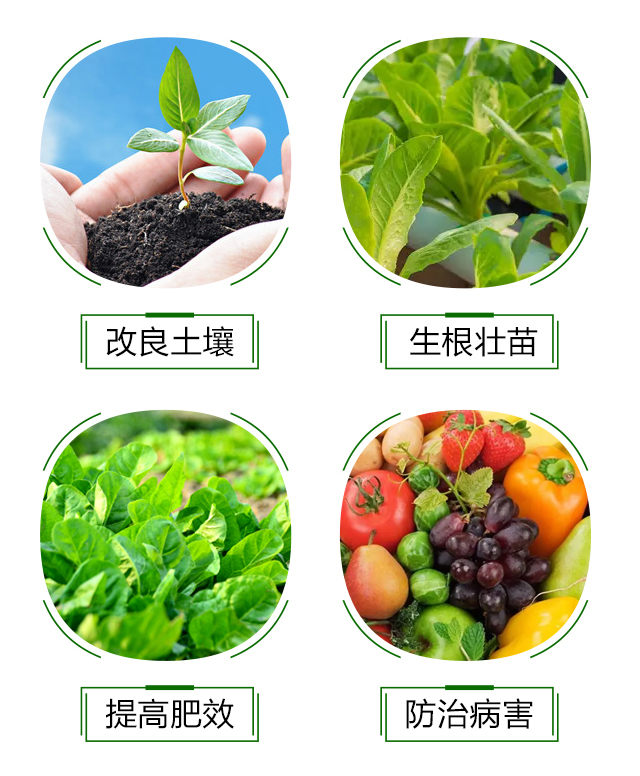 礦源黃腐酸鉀-誠銘領(lǐng)航_05