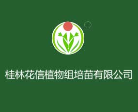 桂林花信植物化工有限責(zé)任公司