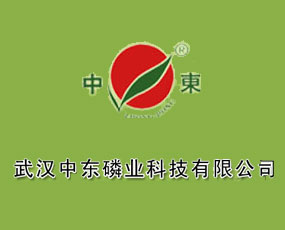 武漢中東磷業(yè)科技有限公司