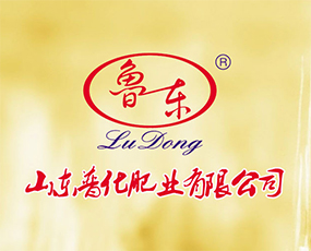 山東普化肥業(yè)有限公司