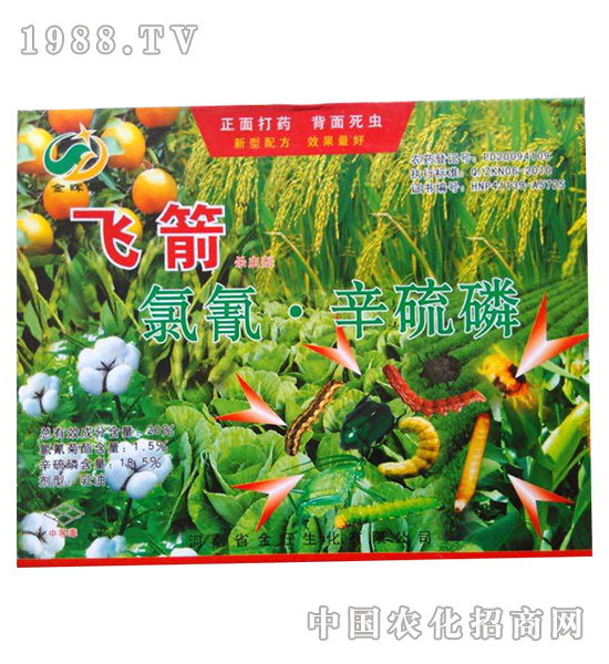 20%����������-�w��-�����r(n��ng)ˎ