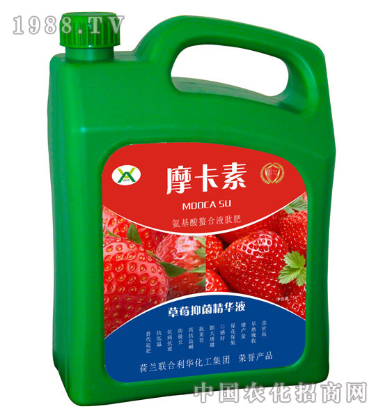 ��ݮ�־����AҺ-Ħ����-��о���H