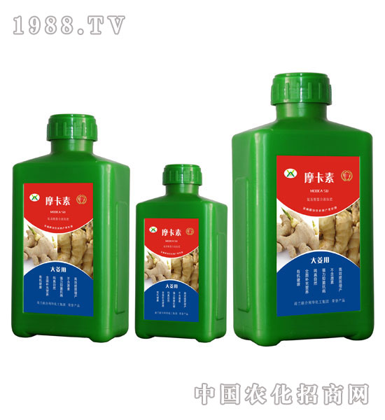 大姜專(zhuān)用氨基酸螯合液肽肥-摩卡素-強(qiáng)芯國(guó)際