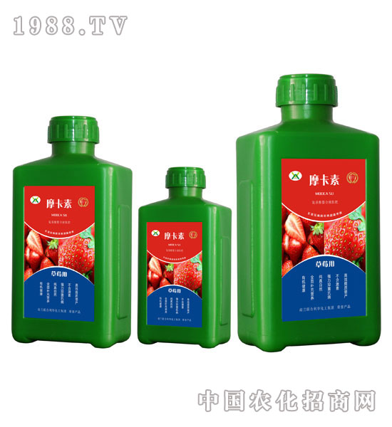 草莓專(zhuān)用氨基酸螯合液肽肥-摩卡素-強(qiáng)芯國(guó)際