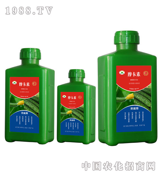 黃瓜專用氨基酸螯合液肽肥-摩卡素-強芯國際