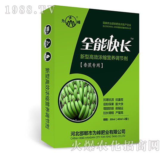 全能快長（香蕉專用）-新型高效濃縮營養(yǎng)調(diào)節(jié)劑-為峰