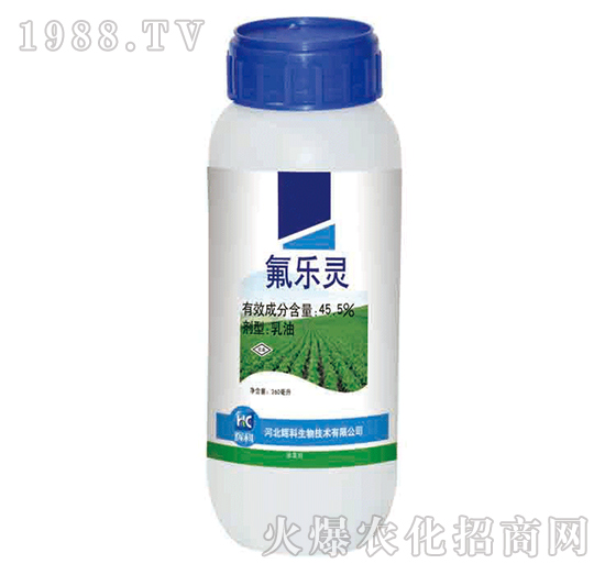 45.5%����(l��)�`-�x��