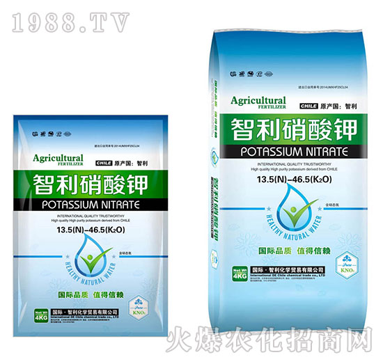 ���������-�������Q