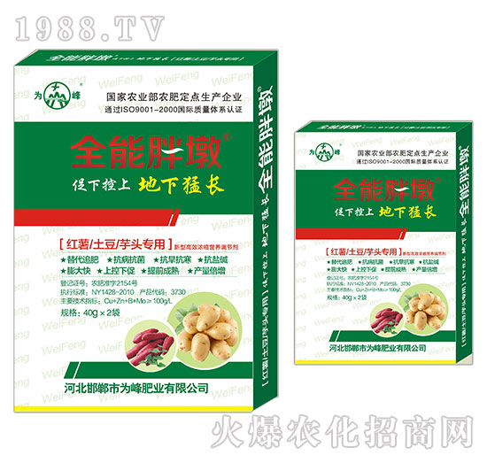 紅薯、土豆、芋頭專用-全能胖墩-為峰