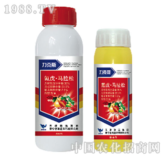 30%�����R����-����˹-���{