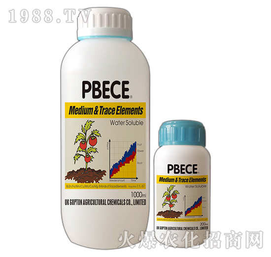 中微全補-亞瑟夫