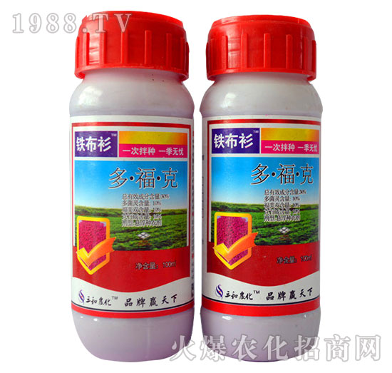 30%�����-�F����-�읙����