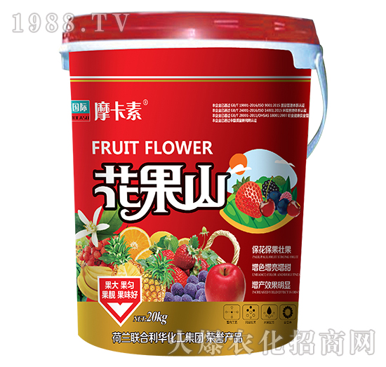 花果山-摩卡素-強芯國際