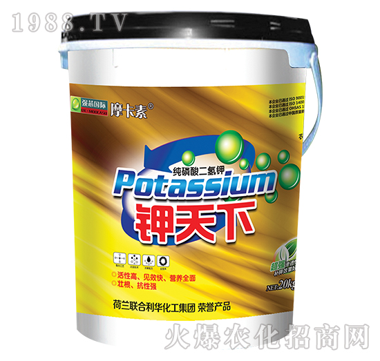 鉀天下-摩卡素-強芯國際