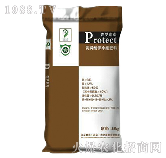 ���_̩��-���ǻ��r