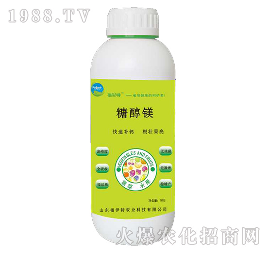 �Ǵ��V-������-������