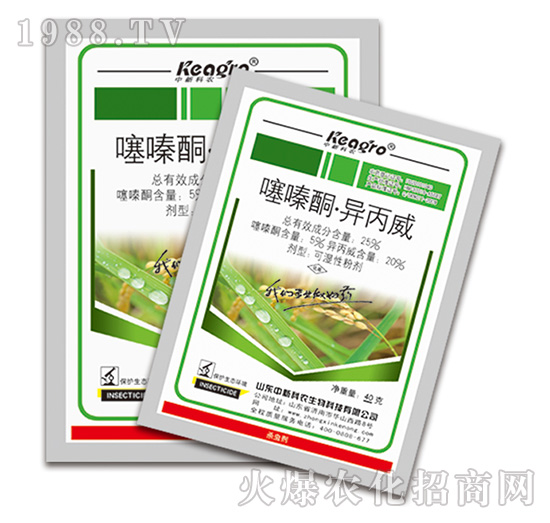 25%���ͪ��������-���¿��r