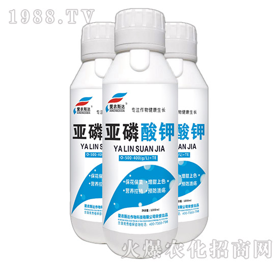 ������⛣�ƿ��-���r(n��ng)˹�_