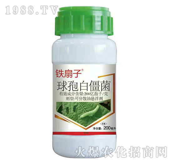 200�|����ÿ�����߰׽���-�F����-�����_