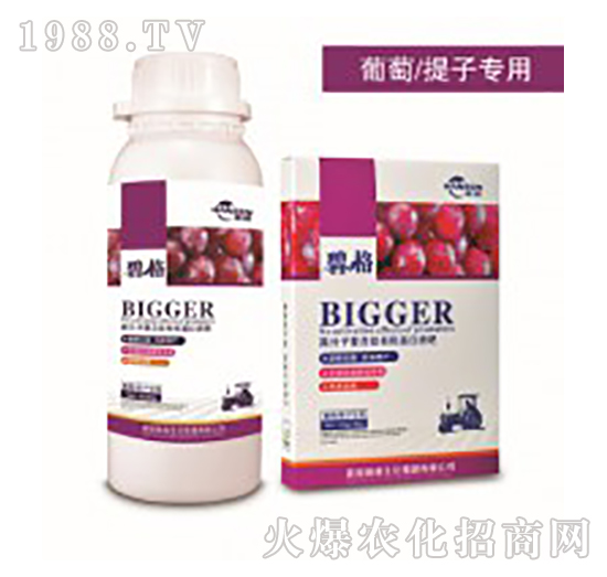 �������ӌ��ø߷��ӏ�(f��)�����ЙC(j��)����Һ��-�̸�-�ɭ�r(n��ng)�I(y��)