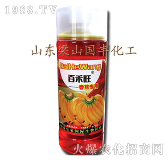 香蕉專用葉面肥-梁山國(guó)豐