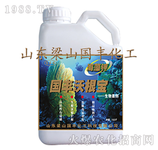 國(guó)豐沃根寶-梁山國(guó)豐