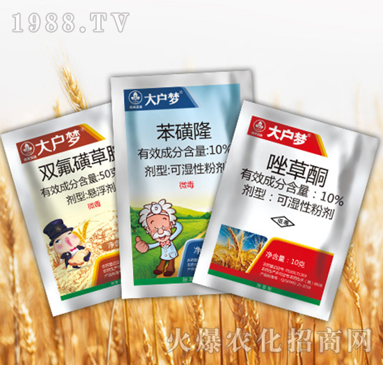 ����(m��ng)3�M��-�к����_(d��)