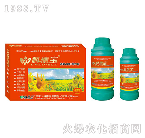 油菜、向日葵專用營養(yǎng)增產(chǎn)調(diào)理劑-科德寶