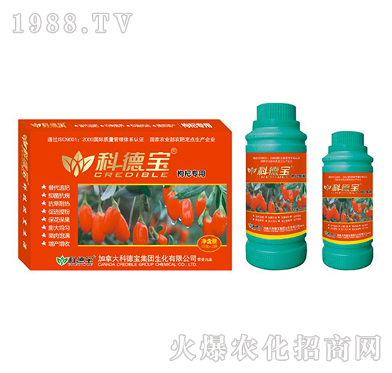 枸杞專用營養(yǎng)增產(chǎn)調(diào)理劑-科德寶