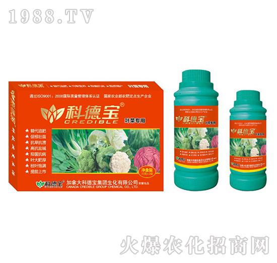 �~�ˌ�(zhu��n)�àI(y��ng)�B(y��ng)���a(ch��n)�{(di��o)�턩-�Ƶ�