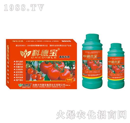 番茄專用營養(yǎng)增產調理劑-科德寶