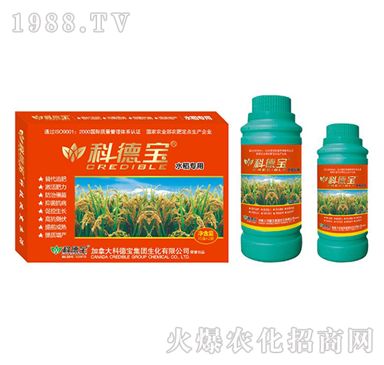 水稻專用營養(yǎng)增產(chǎn)調(diào)理劑-科德寶