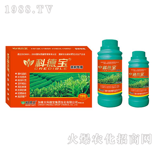 茶樹(shù)專(zhuān)用營(yíng)養(yǎng)增產(chǎn)調(diào)理劑-科德寶