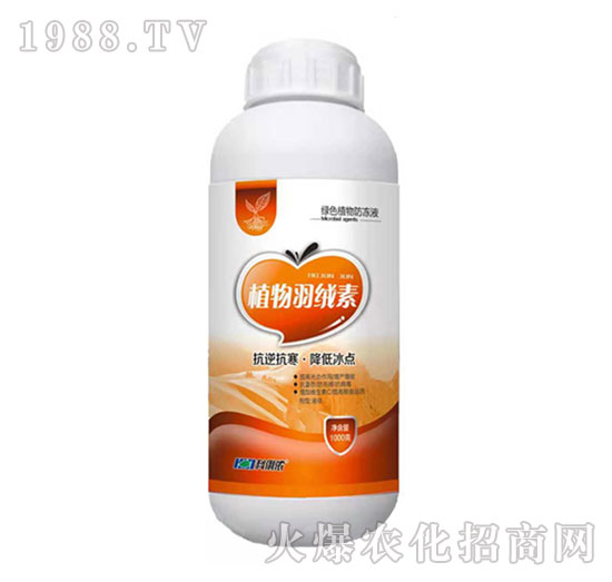 ֲ����q��-�����r(n��ng)