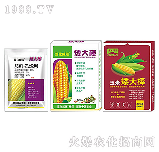 玉米生長調(diào)節(jié)劑-矮大棒-萱化威遠