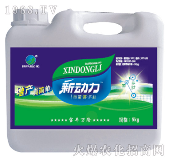 ΢�����|������-���S�f(w��n)¡