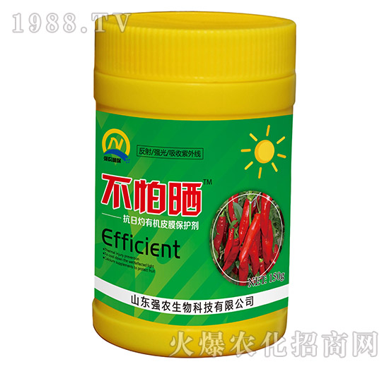 抗日灼有機(jī)皮膜保護(hù)劑-不怕曬-強(qiáng)農(nóng)生物