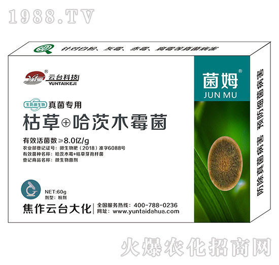 真菌專用菌姆-云臺(tái)大化